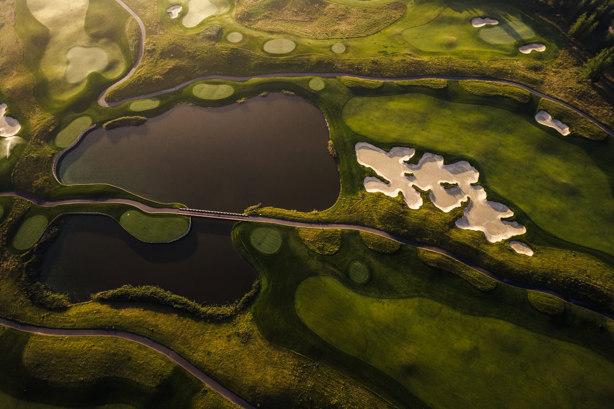 TGN Invitational 2026